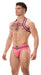 Harnais élastique Colin Rose