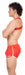 Harnais élastique Everette Rouge