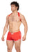 Harnais élastique Everette Rouge