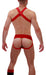 Harnais Élastique MATT Rouge