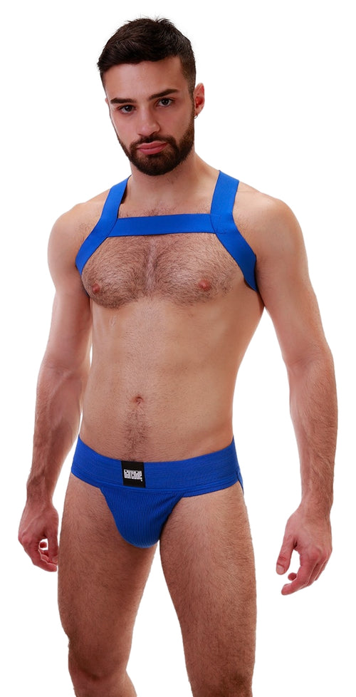 Harnais en élastique Matt Bleu