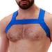 Harnais en élastique Matt Bleu