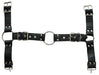 Harnais et Collier Optor Noir