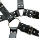 Harnais et Collier Optor Noir