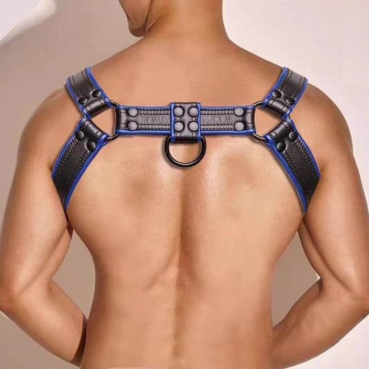 Harnais Simili Hashon Noir-Bleu