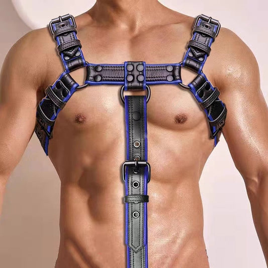 Harnais Simili Hashon Noir-Bleu