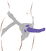 Harness Dong M Purple
