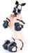 Kit complet Puppy Bondage 14 Pièces Noir-Rouge