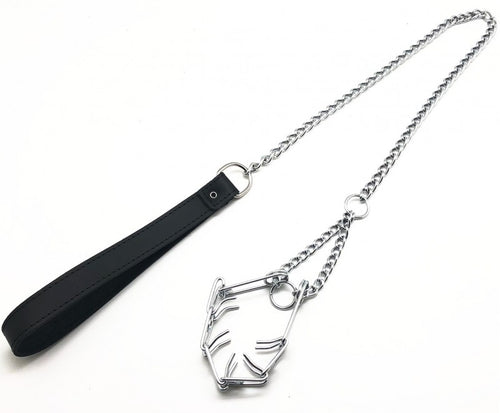 Laisse avec collier étrangleur pour pénis