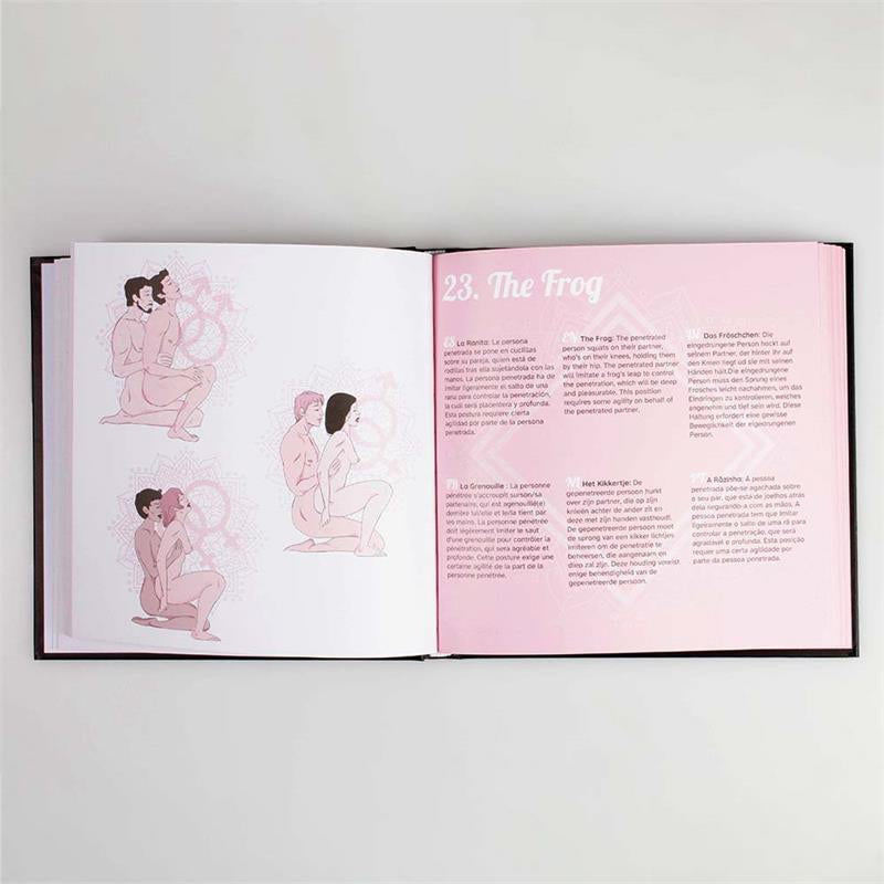 Livre érotique 69 Positions Kamasutra