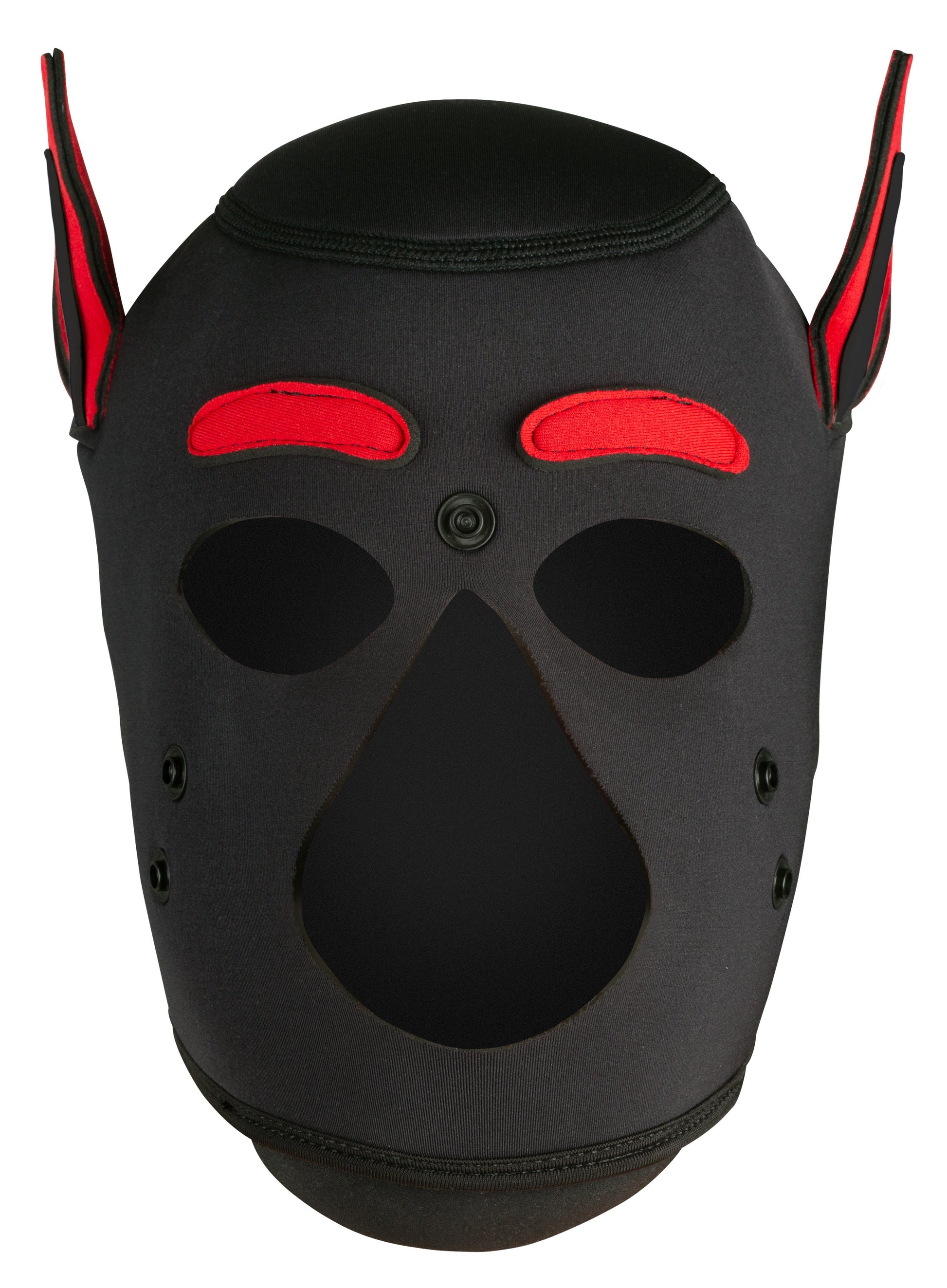 Masque Petty Dog Noir-Rouge