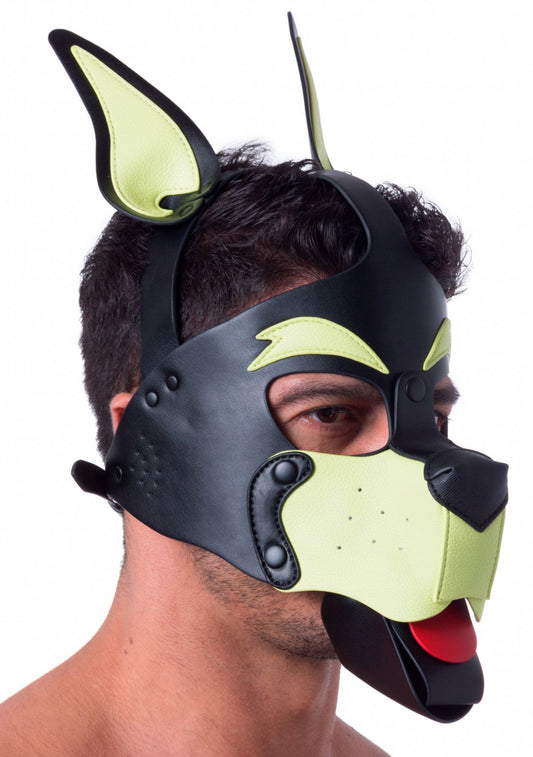 Masque Puppy 665 Jaune/Vert
