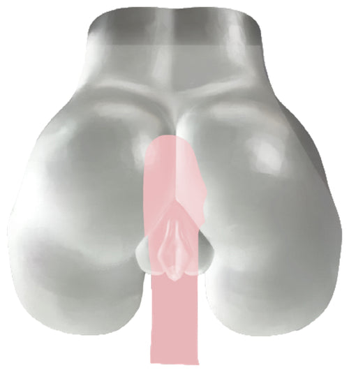 Masturbateur Fessier Fucking Pussy Transparent
