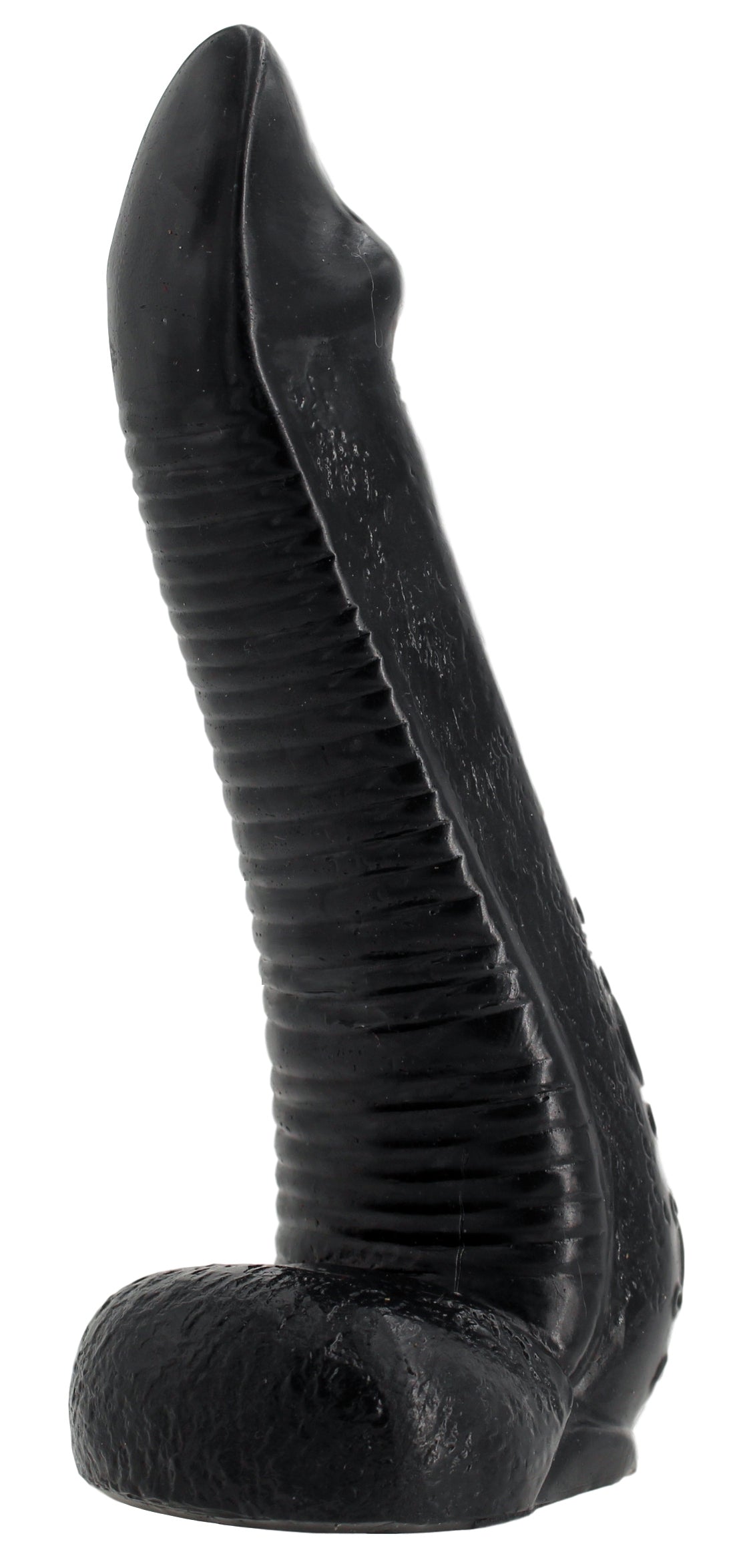 NAUTILA 19 x 5.8 cm