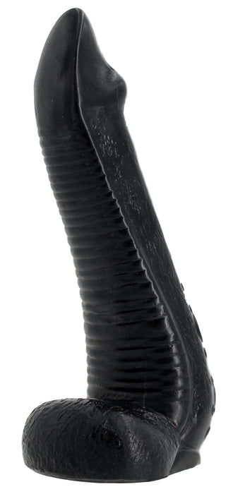 NAUTILA 19 x 5.8 cm