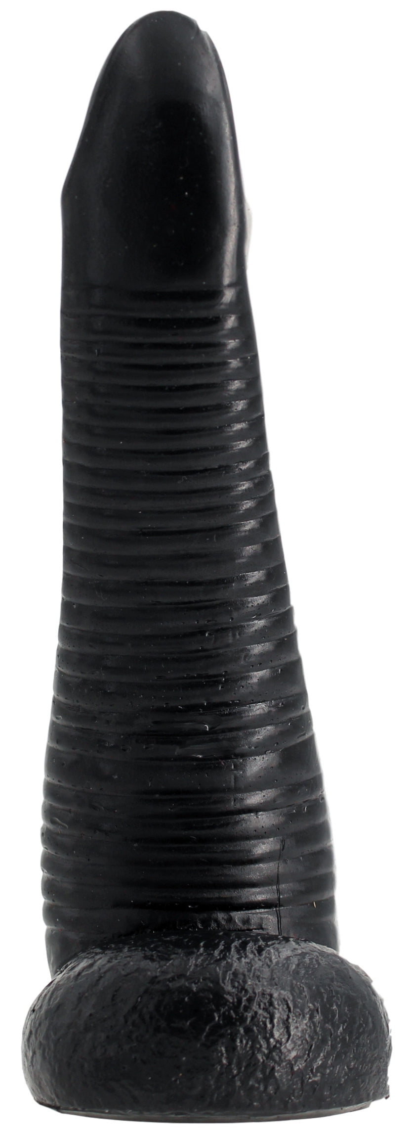 NAUTILA 19 x 5.8 cm