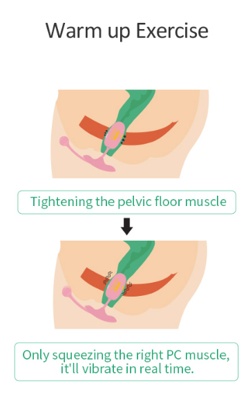 Oeuf vaginal connecté Kegel Coach 6 x 3cm