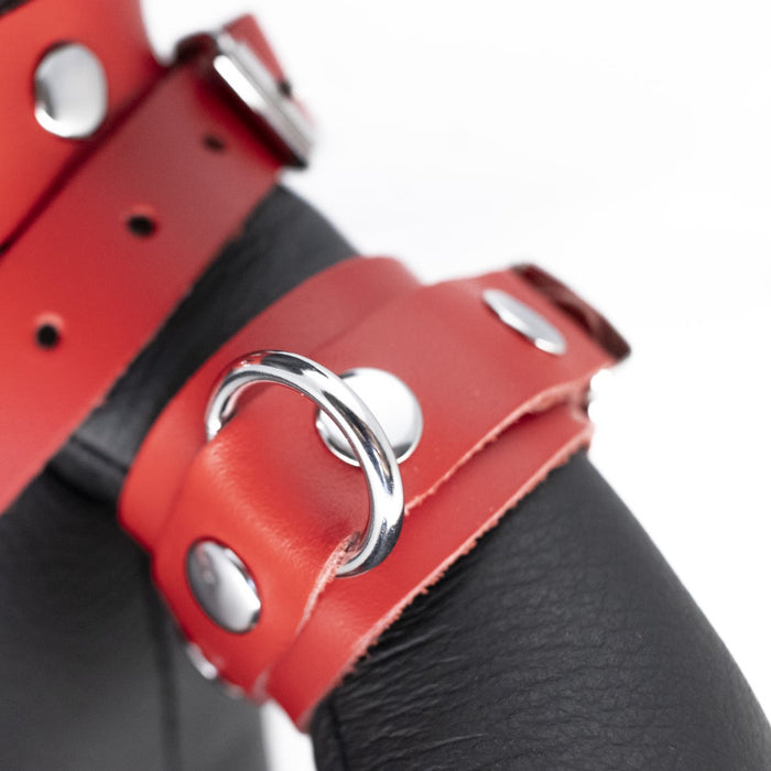 Ours en cuir Bendy The Bdsm Teddy Bear Rouge