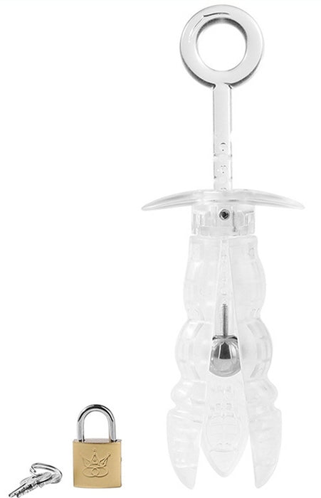 Plug de chasteté anale Expand Lock 13 x 5cm