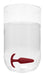 Plug en silicone Slim Butt 7.5 x 2cm Rouge