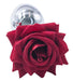 Plug Rosestain S 6 x 2.7cm