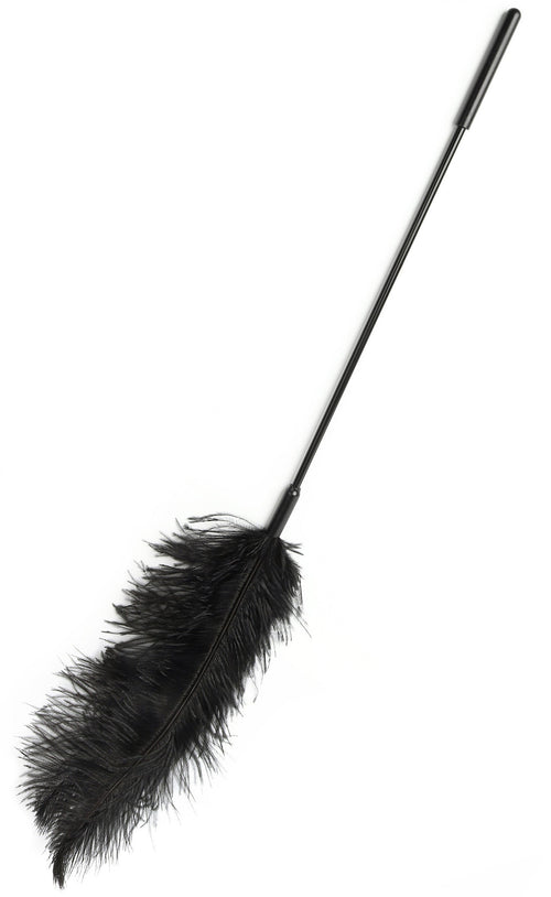 Plumeau Double Ticklers 66cm