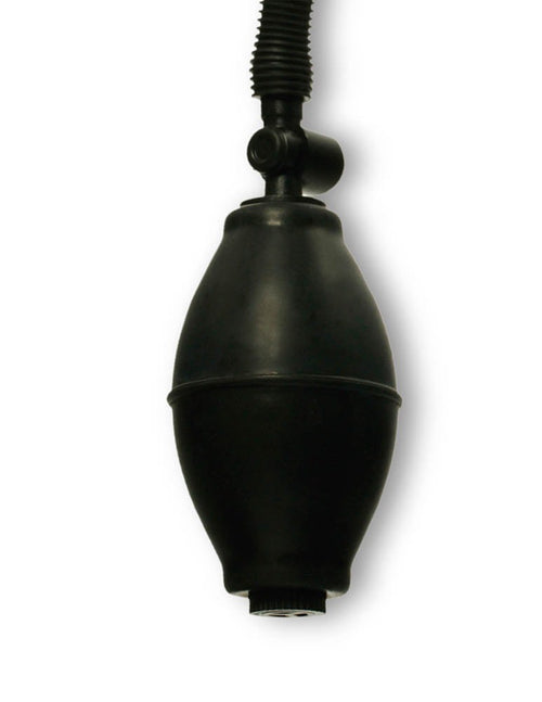 Pompe à Pussy