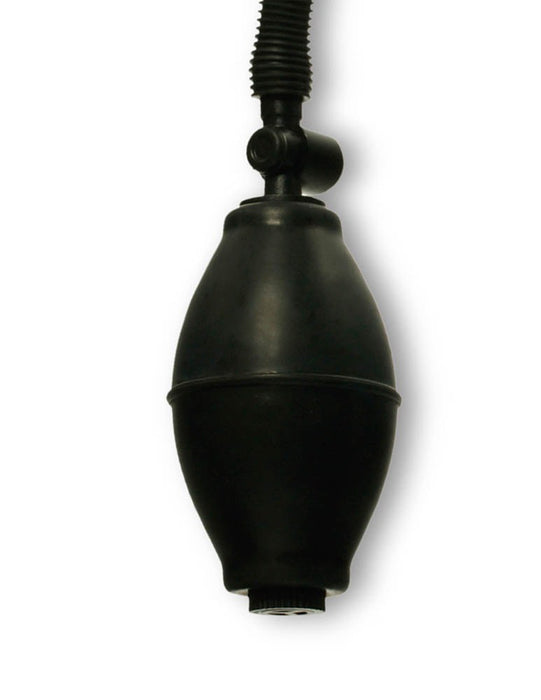 Pompe à Pussy