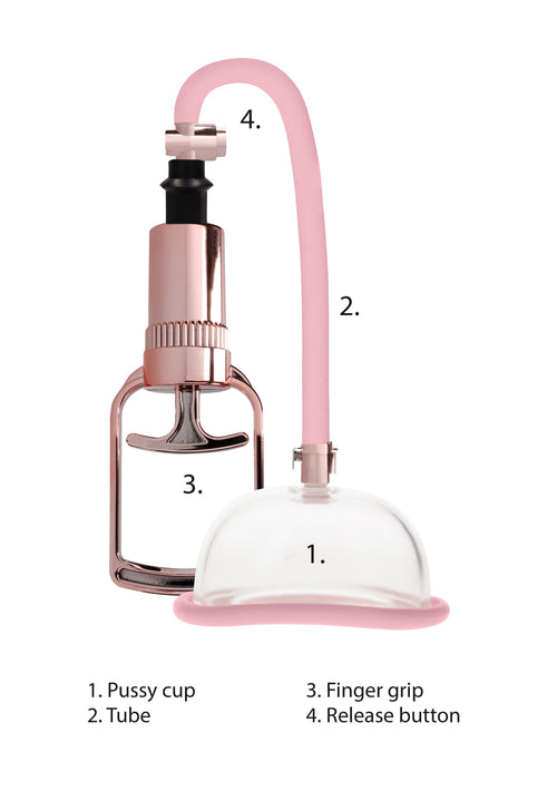 Pompe à vagin - Rose Gold