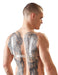 Prothèse Seins en silicone 1200g