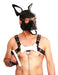 PUPPY SET OREILLES ET LANGUE EN CUIR BLANC