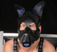 PUPPY SET OREILLES ET LANGUE EN CUIR BLEU