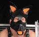 PUPPY SET OREILLES ET LANGUE EN CUIR ORANGE