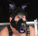PUPPY SET OREILLES ET LANGUE EN CUIR VIOLET