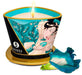 Bougie de massage Shunga ISLAND BLOSSOMS Fleurs des Iles