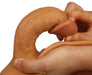 Prothèse Pénis entière - Sexe 15 x 4cm