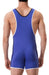 Singlet Allan Bleu