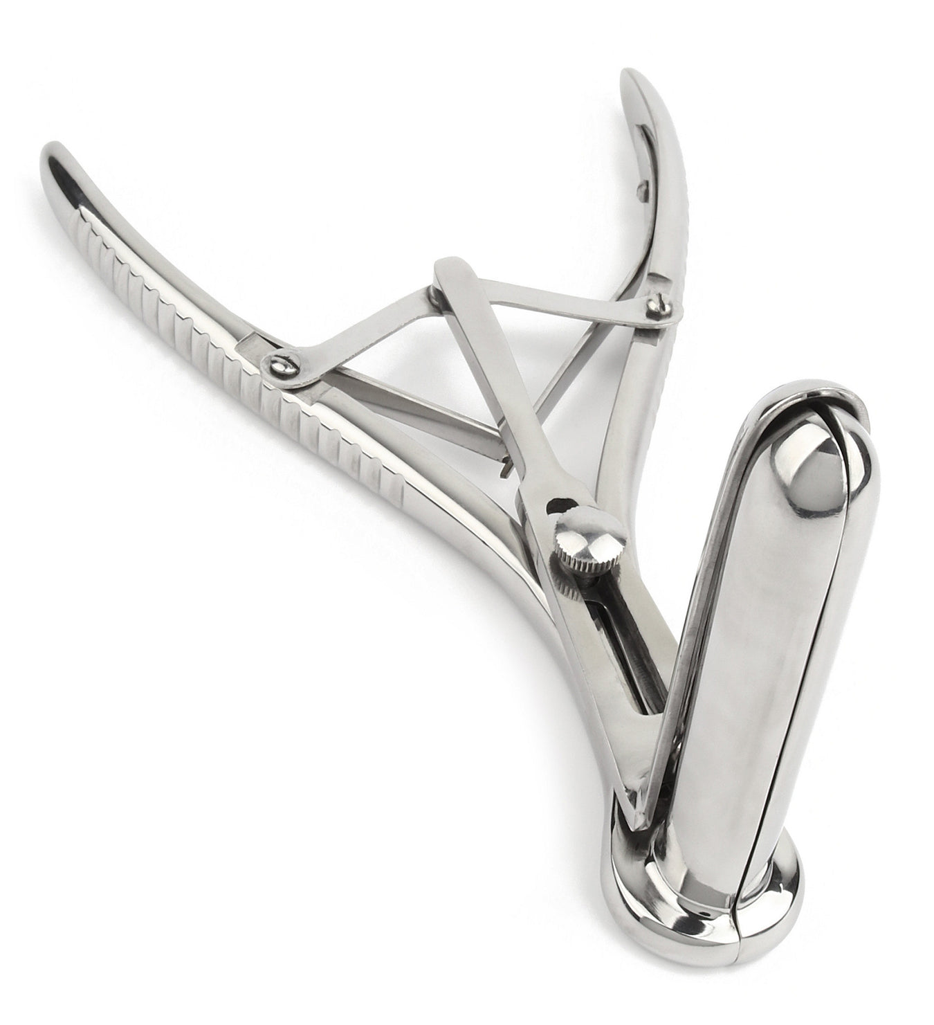 Speculum