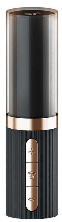 Stimulateur de Clitoris Pro 2 Kiss