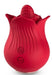 Stimulateur de Clitoris Rednip