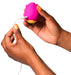 Stimulateur de Clitoris Rose