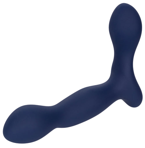 Stimulateur de prostate Expert Probe Viceroy 10 x 2.5cm