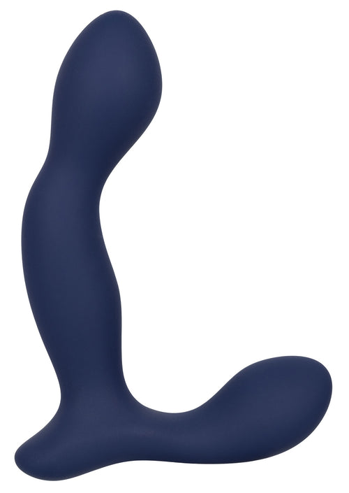 Stimulateur de prostate Expert Probe Viceroy 10 x 2.5cm
