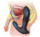 Stimulateur de prostate vibrant THRUSTY MAX 12 x 3.5cm