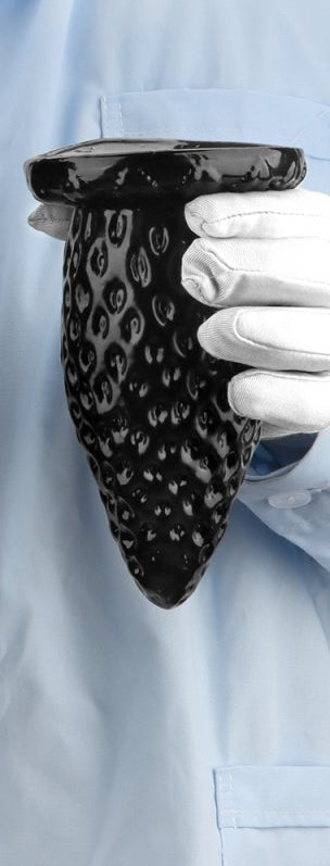 Plug Fraise S 13 x 6.8 cm Noir